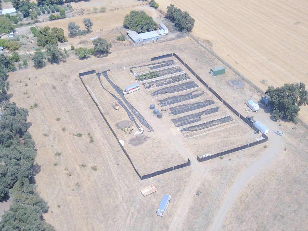 Image depicts an aerial view of the cannabis grow 