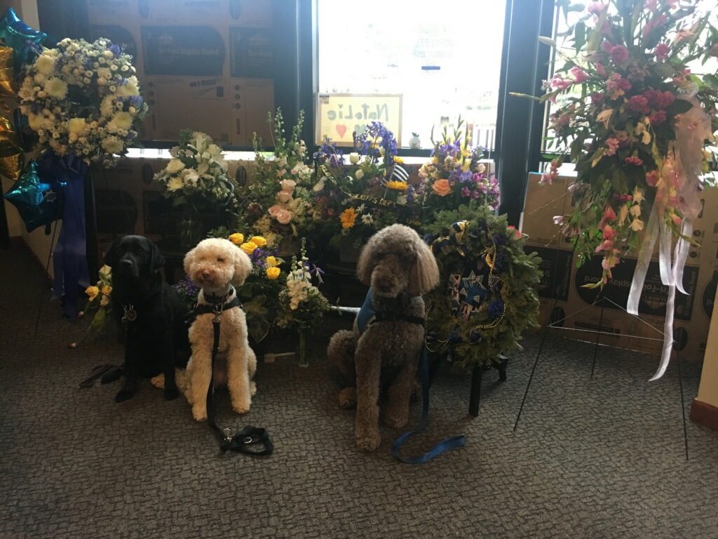 Image depicts comfort dogs on hand to offer assistance to those in distress